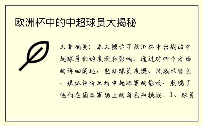 欧洲杯中的中超球员大揭秘