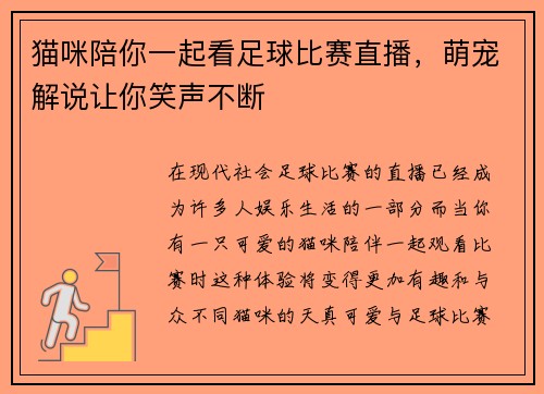 猫咪陪你一起看足球比赛直播，萌宠解说让你笑声不断